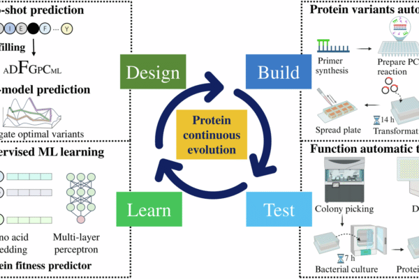 AI Protein Language Model: 5 Revolutionary Discoveries in Life’s Evolution