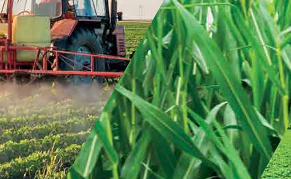 Prosperity for Pakistan’s agriculture