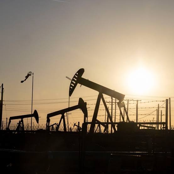 Oil Prices Fall as Trump-Iran Talks Shake the Energy Market